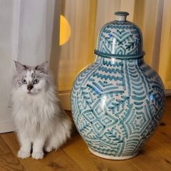 528528ca 3b20 4508 a44e 643afe403c2d