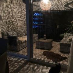 8bce8568 6d6f 44d3 9f3c da9814f8938e