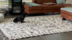 0d788575 8d68 4d25 a8a39f01a251