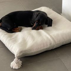 88e4a537 77f6c a3cf e04772c37e70