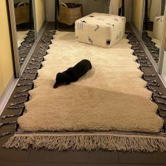 e6fdd432 ac87 43c6 bbeba7f564e1f2