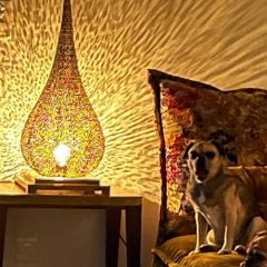 f583cdb9 1b03 47ee b048f46cd06b